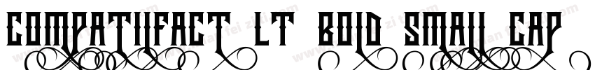 CompatilFact LT Bold Small Caps字体转换